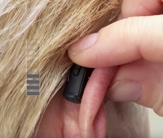 singapore hearing aid